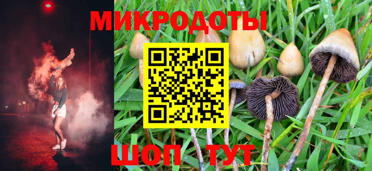 Махачкала  Галлюциногенные грибы GOLDEN TEACHER  Вход с VPN 