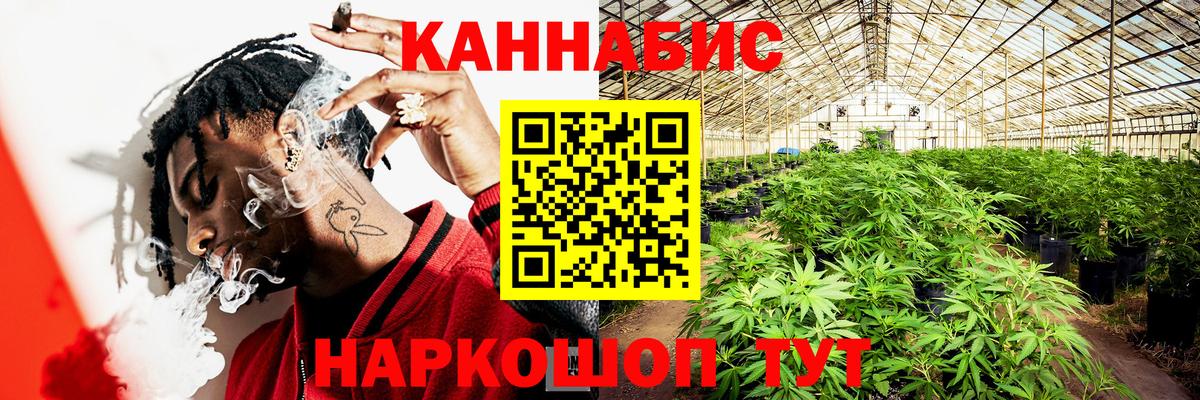 Канабис семена  Вход с VPN  Махачкала  Каннабис SATIVA & INDICA  Конопля гибрид  Каннабис White Widow 